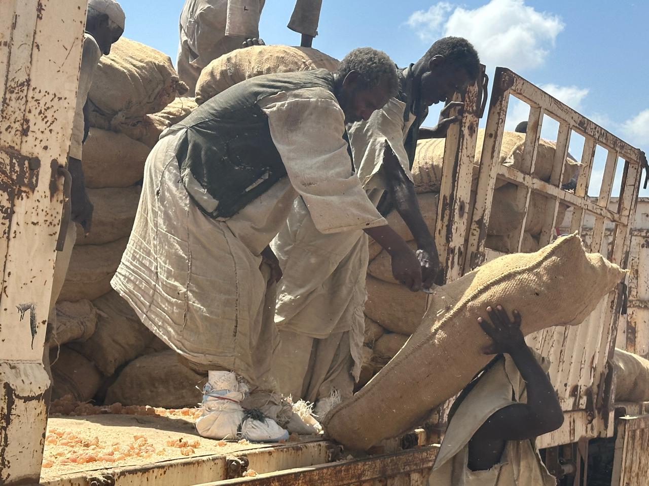 Our team unloading gum arabic sacks at the receiving yard.