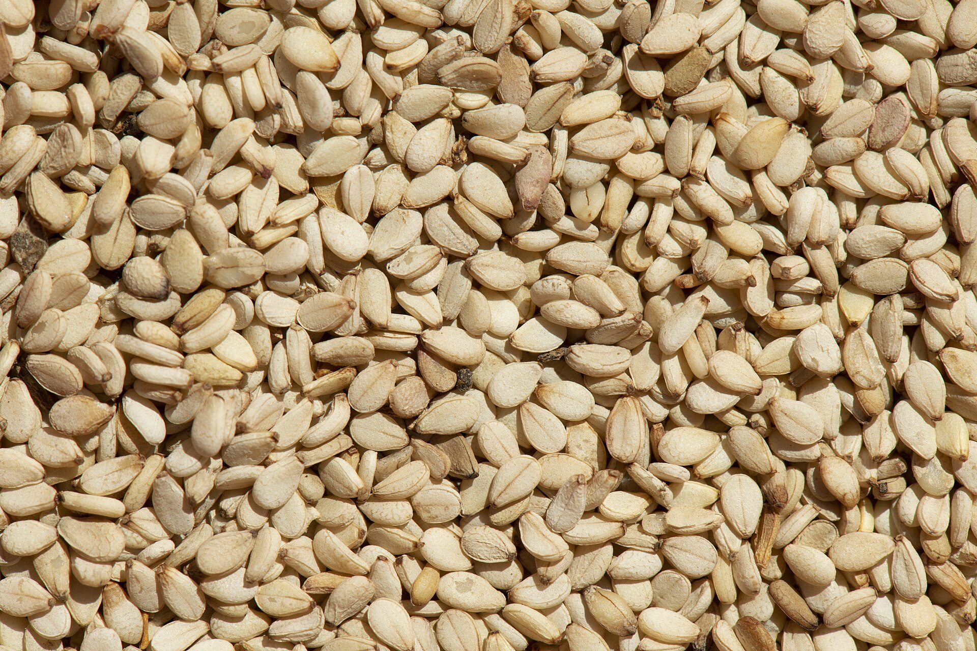 Seeds